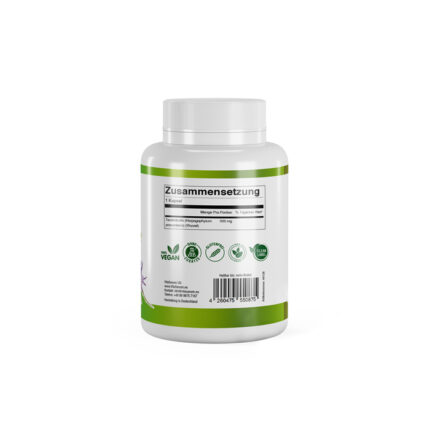 VitaSanum® - Teufelskralle (Harpagophytum procumbens) 500 mg 100 Kapseln