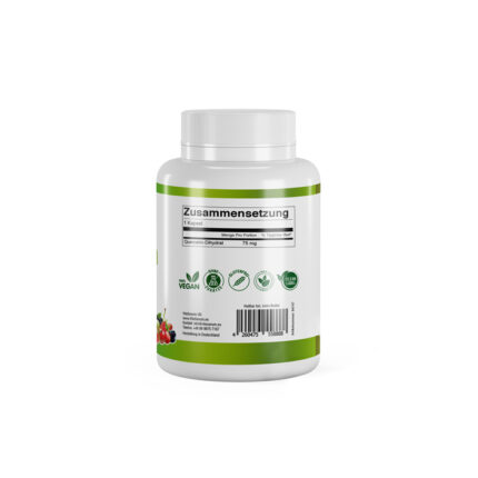 VitaSanum® - Quercetin (Sophora Japonica L.) 75 mg 90 Kapseln